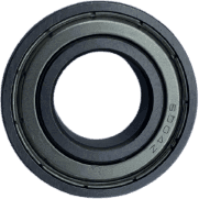 6004 Bearing
