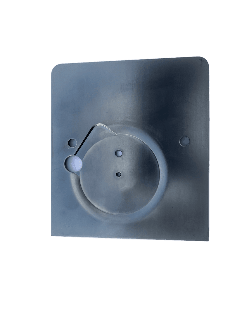Needle Plate